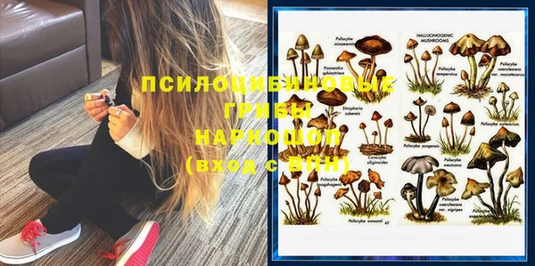бошки Горняк
