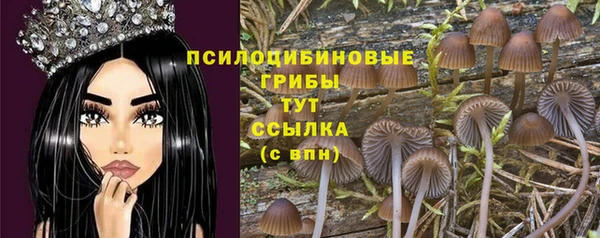 бошки Горняк