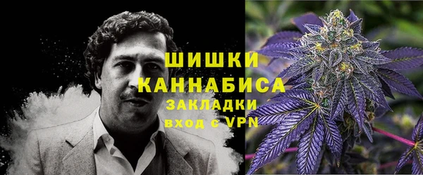 таблы Гусев
