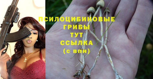 бошки Горняк