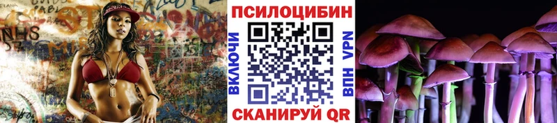 Купить  Новоржев  Галлюциногенные грибы прущие грибы 
